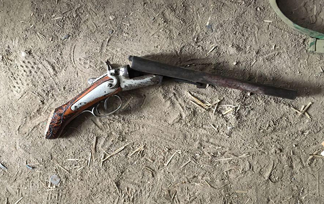 В Херсонской области обнаружили посев конопли на почти млн гривен